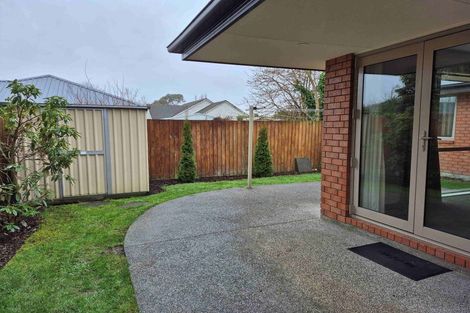 Photo of property in 20a Plunket Street, Spreydon, Christchurch, 8024