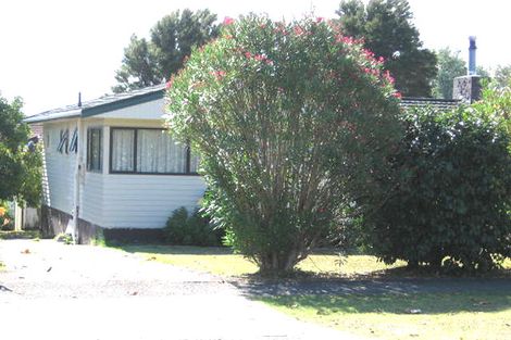 Photo of property in 55 Seabrook Avenue, New Lynn, Auckland, 0600