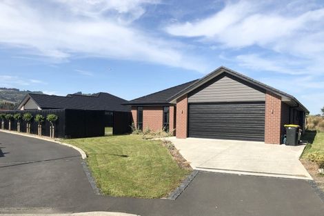 Photo of property in 43 Awa Toru Drive, Fairfield, Dunedin, 9018