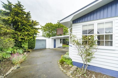 Photo of property in 45 Worcester Street, Ashhurst, 4810