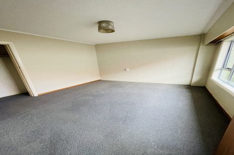 Photo of property in 183 York Place, Dunedin Central, Dunedin, 9016