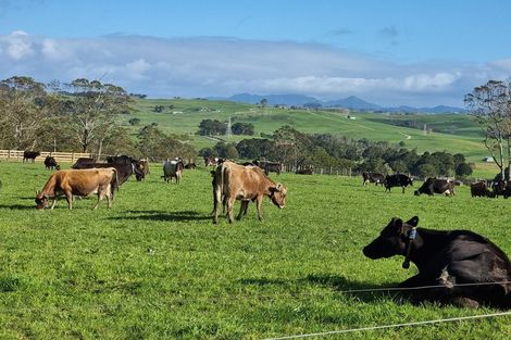 Photo of property in 1594 Millbrook Road, Taipuha, Paparoa, 0571