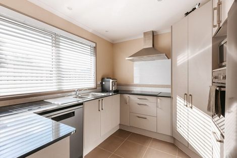 Photo of property in 20a Lincoln Terrace, Gate Pa, Tauranga, 3112