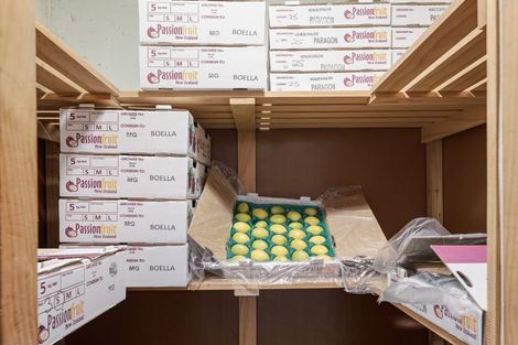 Photo of property in 241 Rea Road, Tahawai, Katikati, 3178