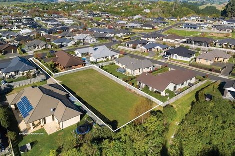 Photo of property in 254 Hollister Lane, Ohauiti, Tauranga, 3112