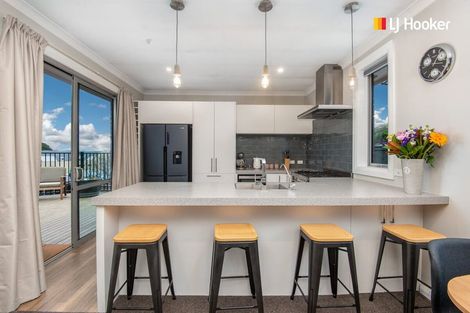 Photo of property in 55 Hawthorn Avenue, Mornington, Dunedin, 9011