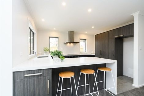 Photo of property in 48 Weston Avenue, Roslyn, Palmerston North, 4414