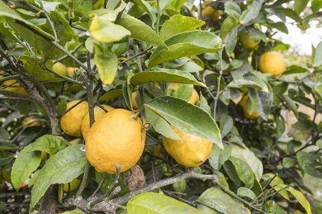 Photo of property in 208a South Street, Feilding, 4702