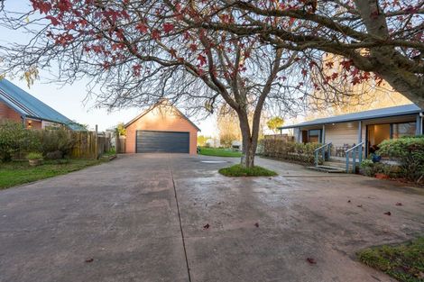 Photo of property in 153 Halcombe Road, Feilding, 4775