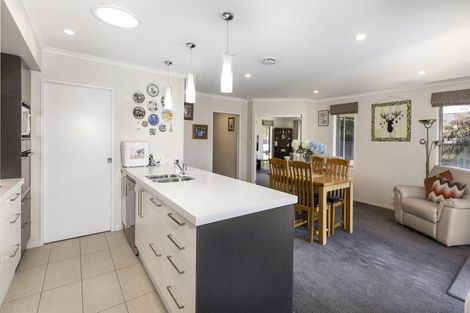 Photo of property in 223 Taylor Pass Road, Witherlea, Blenheim, 7201