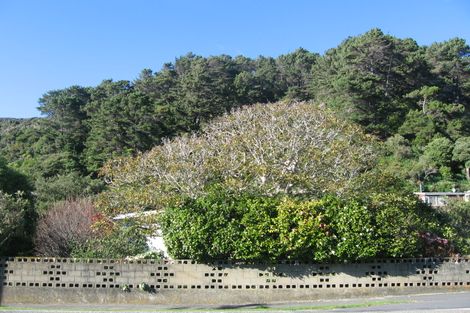 Photo of property in 443 Muritai Road, Eastbourne, Lower Hutt, 5013