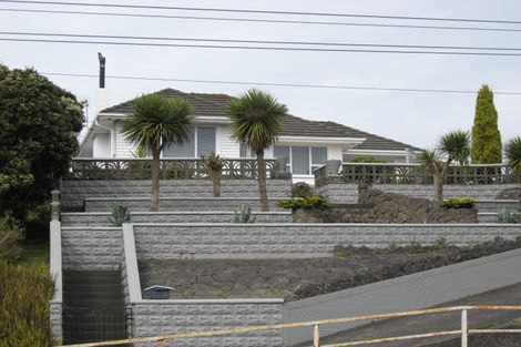 Photo of property in 38 Totara Street, Tawhero, Whanganui, 4501