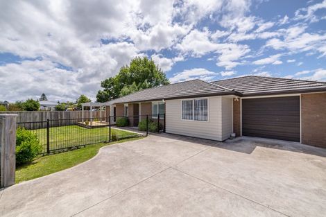 Photo of property in 25 Tarata Grove, Lansdowne, Masterton, 5810