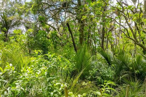 Photo of property in 16 Nikau Lane, Maungaturoto, 0520