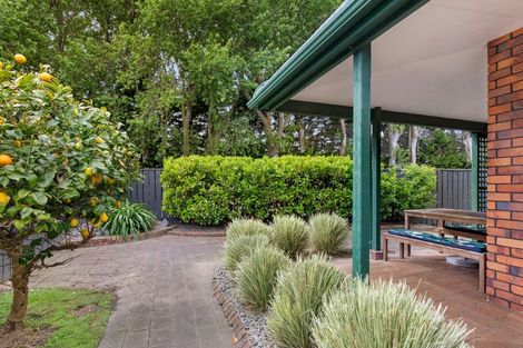 Photo of property in 21 Nikau Street, Tawhero, Whanganui, 4501