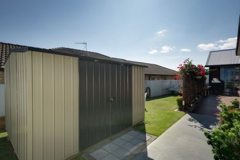 Photo of property in 146 Rowesdale Drive, Ohauiti, Tauranga, 3112