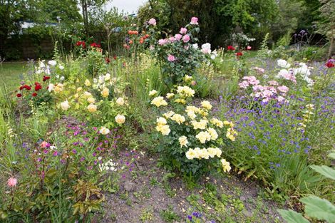 Photo of property in 11 Cook Street, Waipukurau, 4200