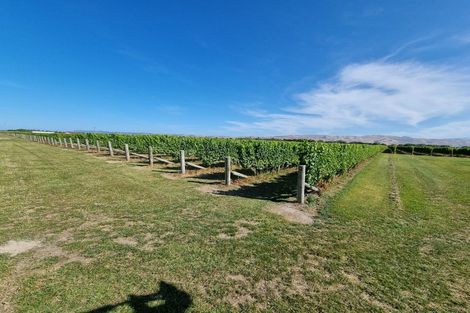 Photo of property in 344 Jones Road, Grovetown, Blenheim, 7273