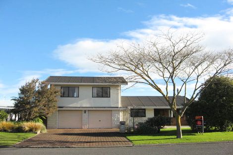 Photo of property in 434 Hemi Street, Raureka, Hastings, 4120