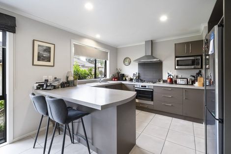 Photo of property in 219 College Street, West End, Palmerston North, 4412