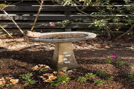 Photo of property in 7 Vista Close, Omokoroa, 3114