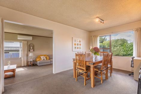 Photo of property in 163 Porangahau Road, Waipukurau, 4200