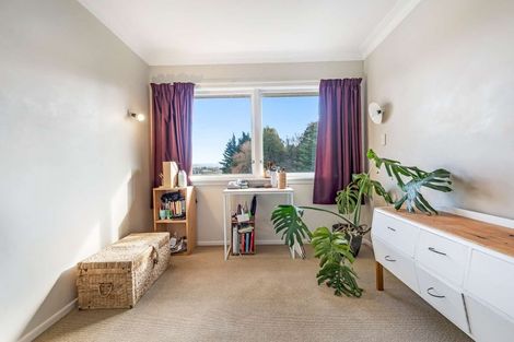 Photo of property in 8 The Drive, Brookfield, Tauranga, 3110