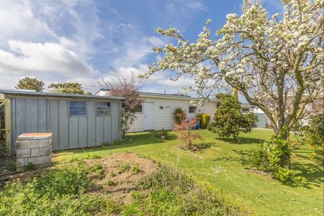 Photo of property in 20 Charles Street, Levin, 5510