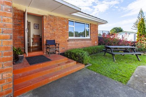 Photo of property in 17 Harris Street, Greenmeadows, Napier, 4112