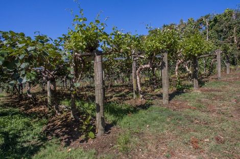 Photo of property in 159 Plantation Road, Rangiriri, Te Kauwhata, 3782