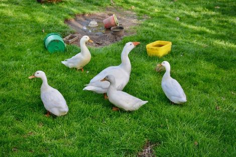 Photo of property in 139b Golden Valley Road, Waihi, 3681