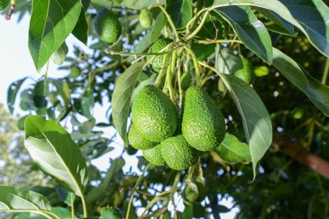 Photo of property in 8 Grey Street, Frasertown, Wairoa, 4193