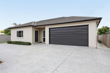 Photo of property in 25a Avenue Road, Greenmeadows, Napier, 4112