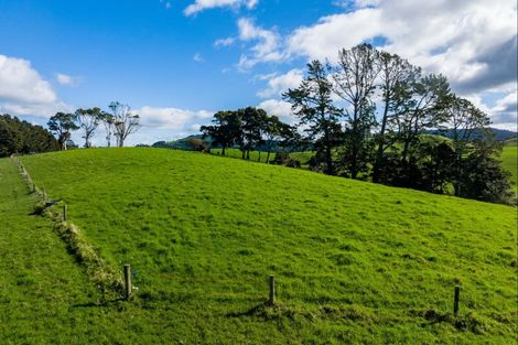 Photo of property in 1043 Whananaki Road North, Opuawhanga, Hikurangi, 0181