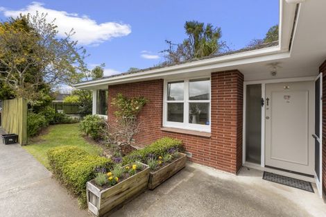 Photo of property in 252a Victoria Avenue, Hokowhitu, Palmerston North, 4410