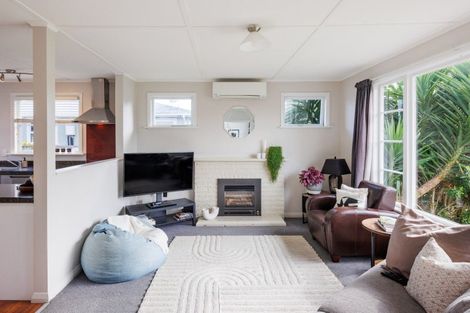 Photo of property in 19 Salisbury Avenue, Terrace End, Palmerston North, 4410