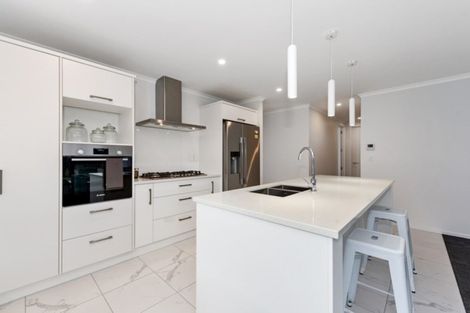 Photo of property in 521 Webb Drive, Chartwell, Hamilton, 3210