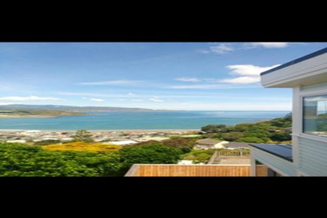 Photo of property in 49 Hornsey Road, Melrose, Wellington, 6023