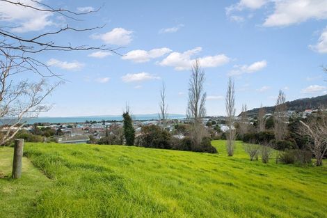 Photo of property in 205 Augustus Street South, Thames, 3500