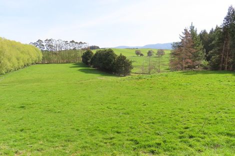 Photo of property in 155 Umutaoroa Road, Dannevirke, 4978