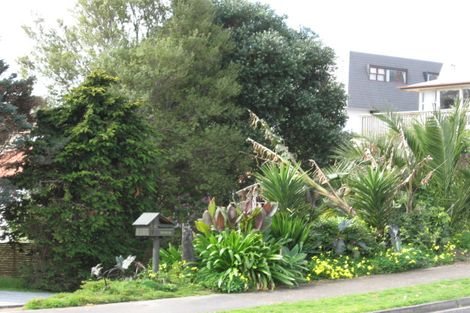 Photo of property in 3/55 Fifth Avenue, Tauranga, 3110