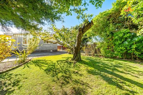Photo of property in 60a Epuni Street, Hutt Central, Lower Hutt, 5011