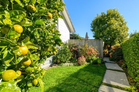 Photo of property in 2 Calla Way, Matua, Tauranga, 3110