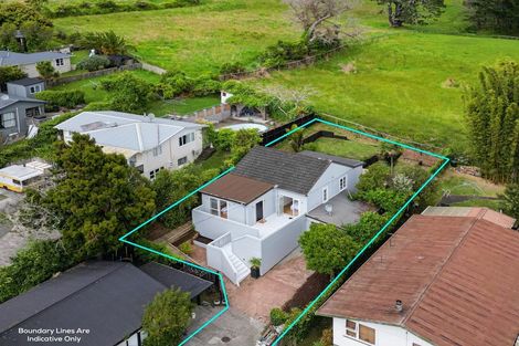 Photo of property in 9 Pine Avenue, Henderson, Auckland, 0612