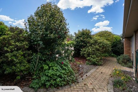 Photo of property in 7 Shetland Place, Richmond, 7020