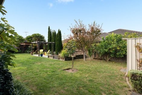 Photo of property in 155 Hollister Lane, Ohauiti, Tauranga, 3112