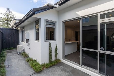 Photo of property in 2/17 Manning Street, Hamilton Central, Hamilton, 3204