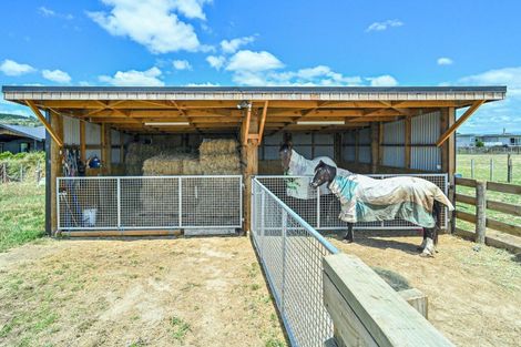 Photo of property in 137 Kereru Road, Maraekakaho, Hastings, 4171