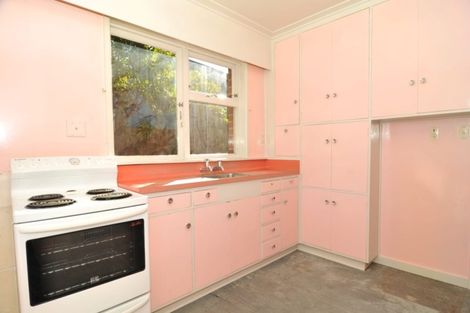 Photo of property in 25 Mcgowan Street, Waharoa, 3401