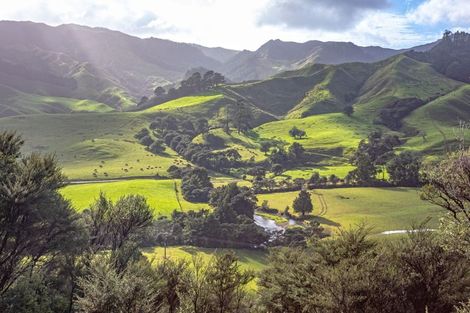 Photo of property in 2035 Colville Road, Colville, Coromandel, 3584